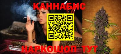шишки Кимры