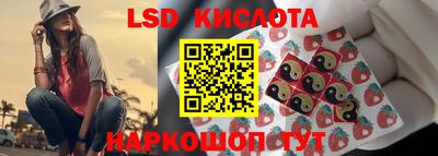 шишки Кимры