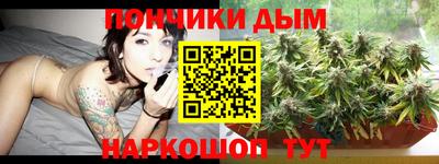 шишки Кимры