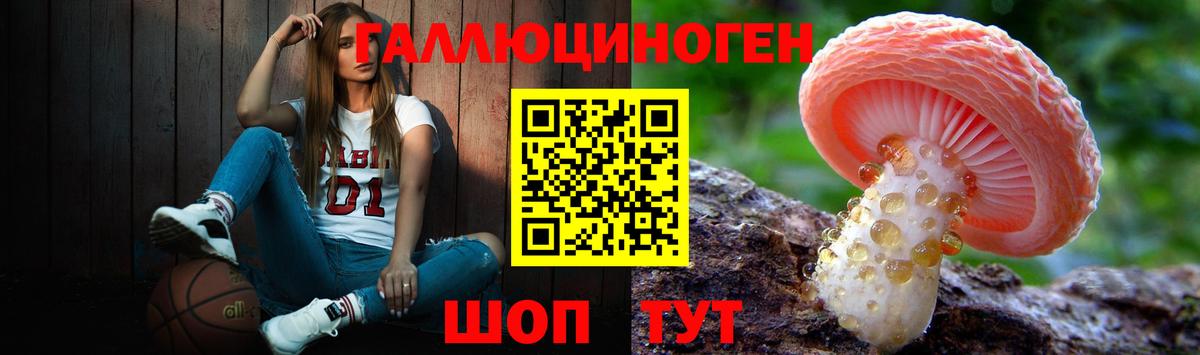 Псилоцибиновые грибы мухоморы Великие Луки